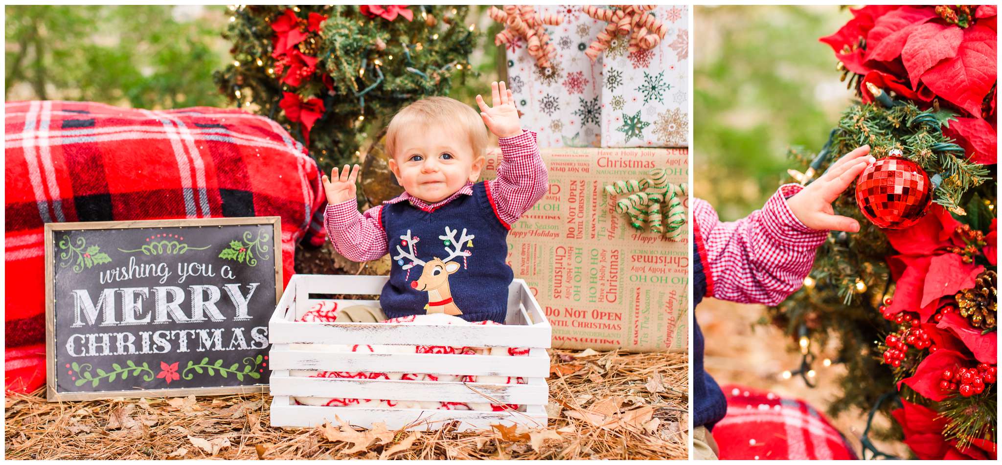  This little cutie is Carter! Look at that little hand on the ornament. He was just perfect for his photo shoot! 