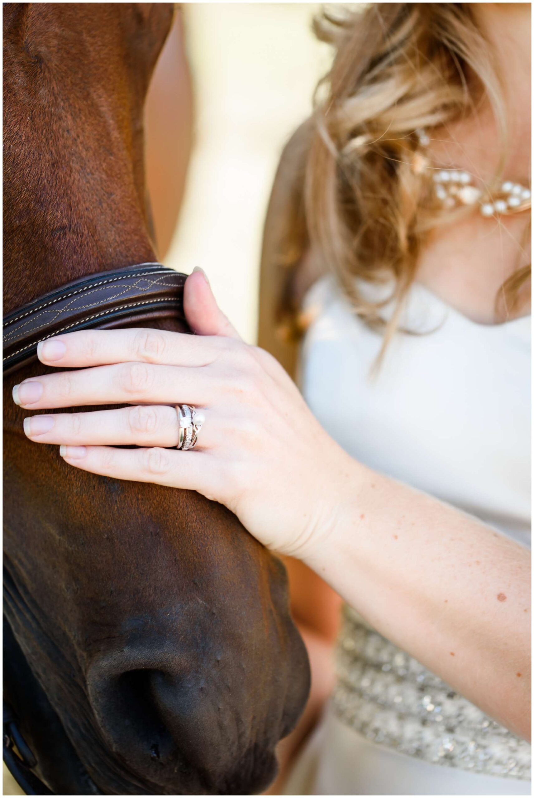 Equestrian Bridal Portraits_3265.jpg