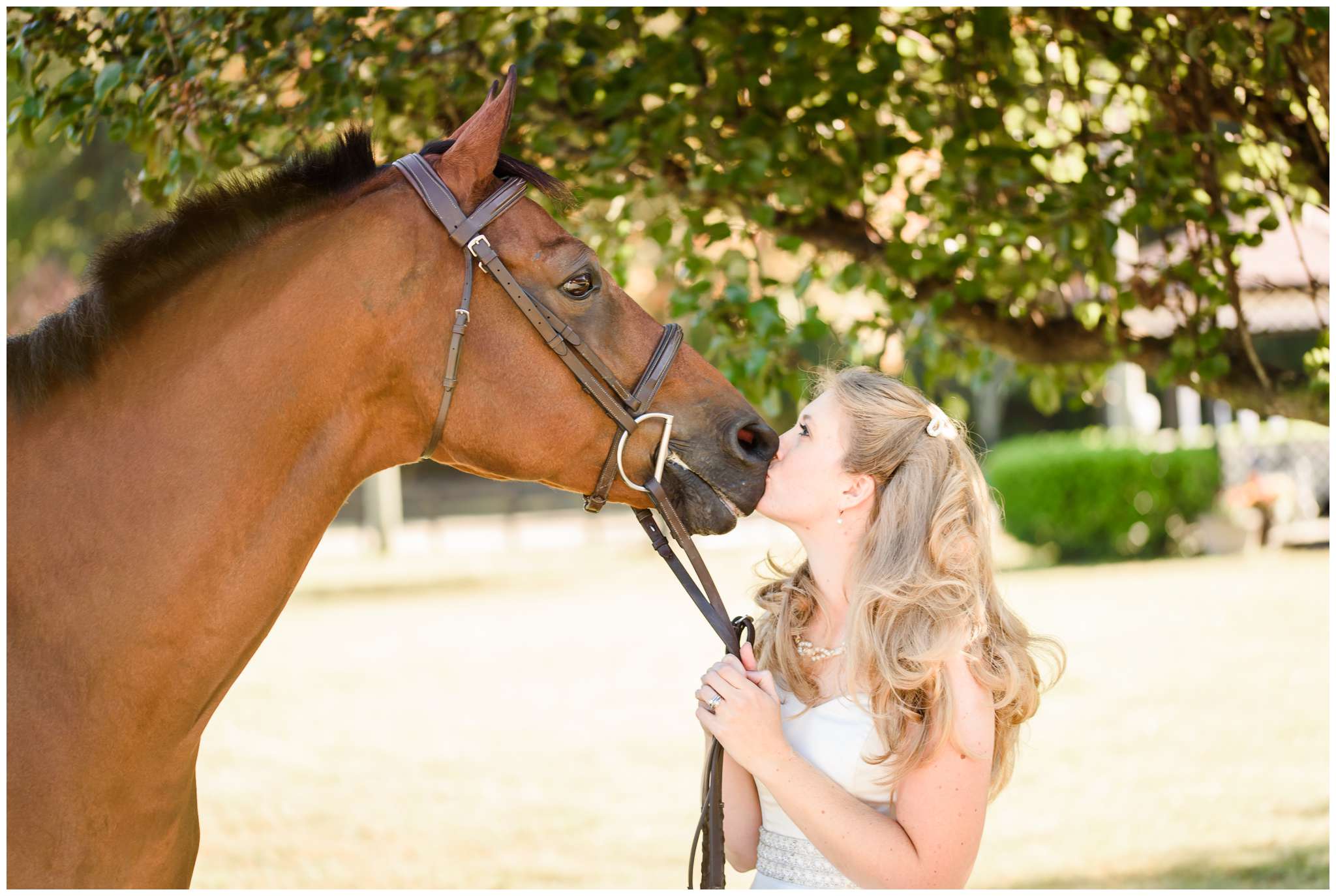Equestrian Bridal Portraits_3268.jpg