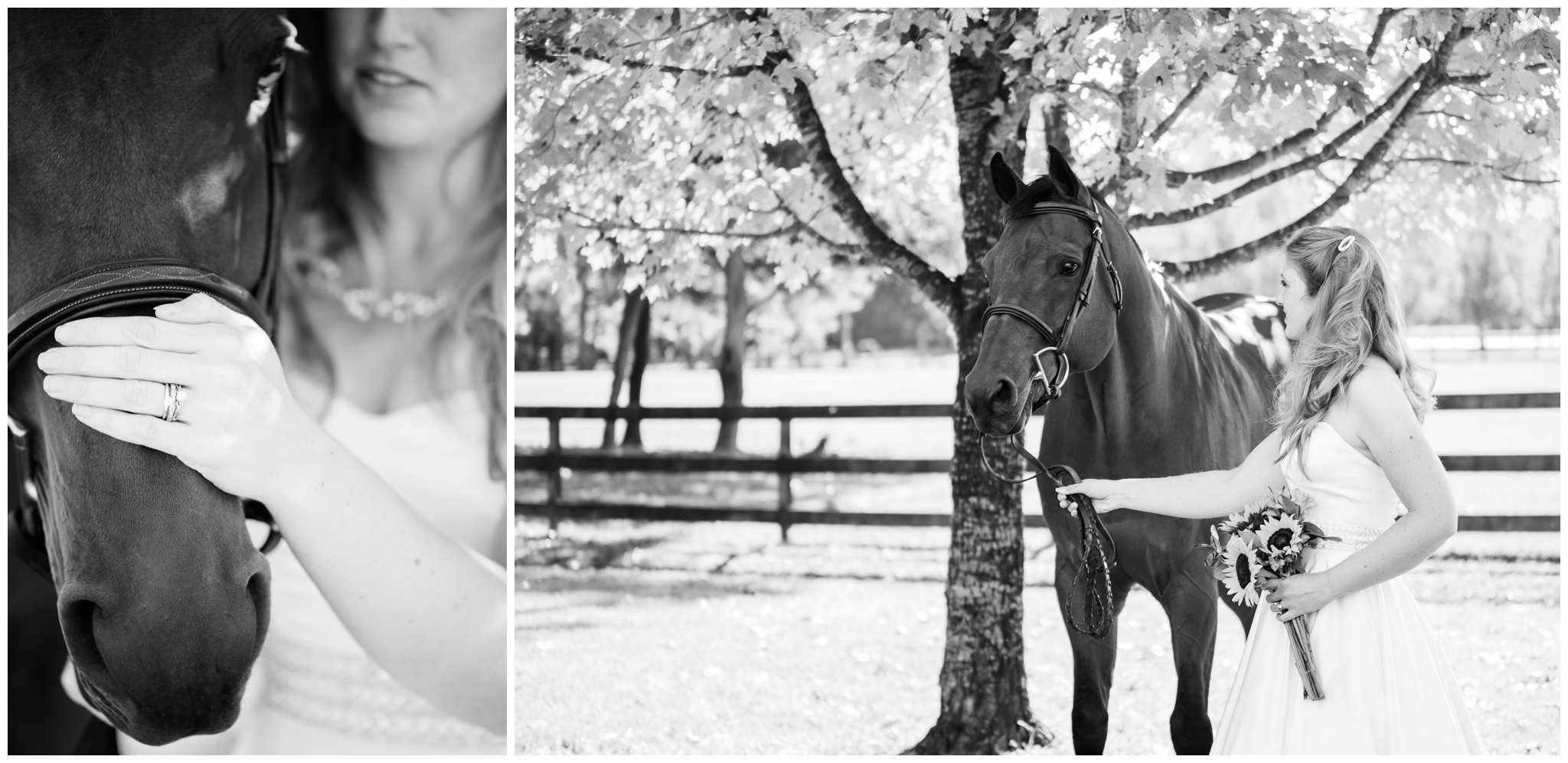 Equestrian Bridal Portraits_3272.jpg