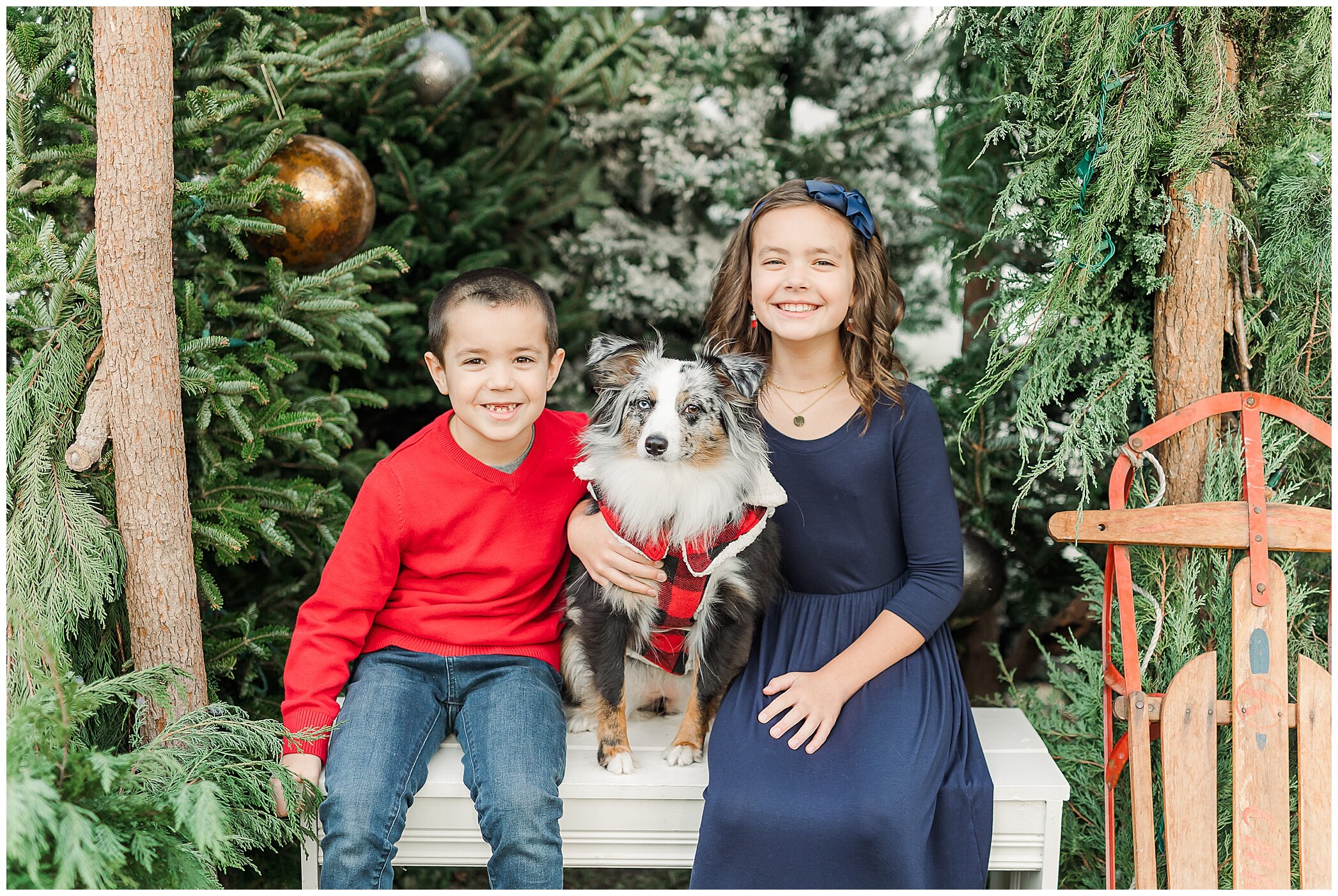 Christmas mini sessions with Ryann Winn Photography at Fleur de Fou with toddlers and dog