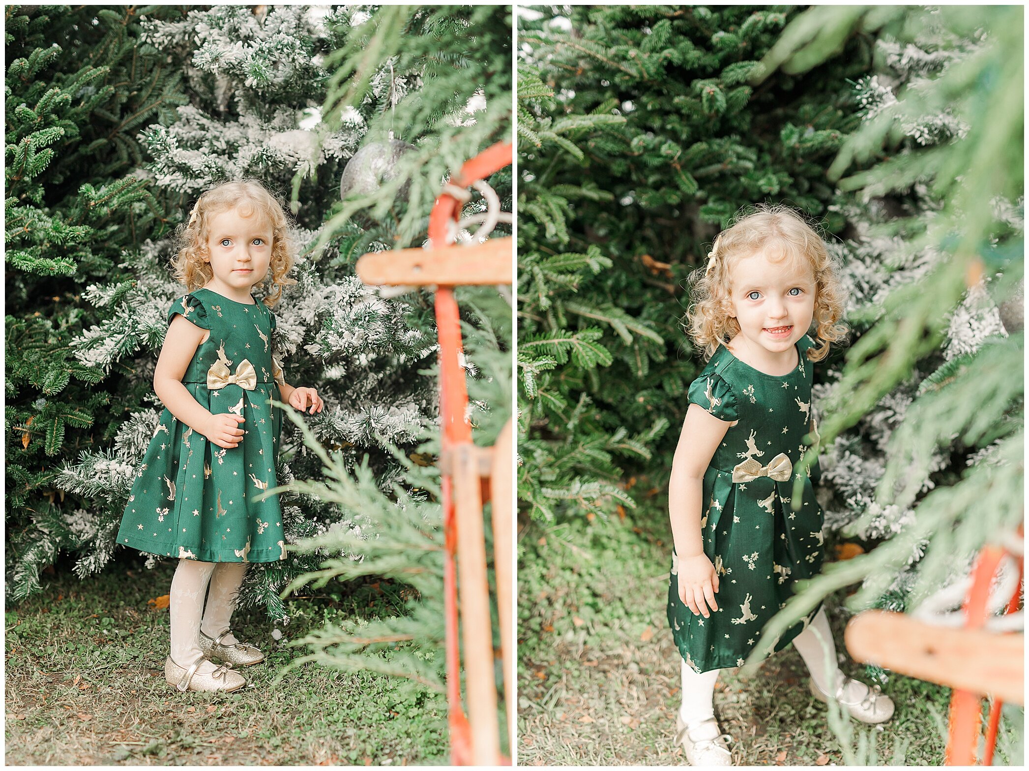 Christmas mini sessions with Ryann Winn Photography at Fleur de Fou with toddler in green velvet dress